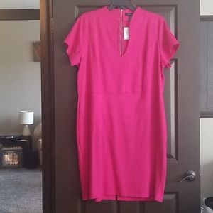 Ashley Stewart Dress (Never worn)